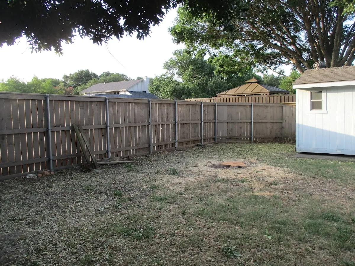 Cleared yard after professional tree removal in Centre